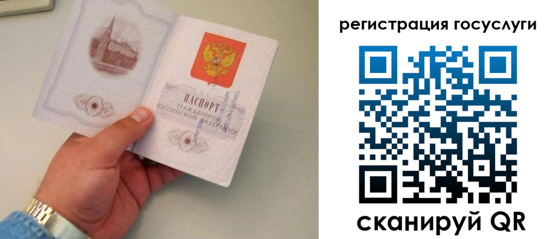 прописка регистрация в Елизово
